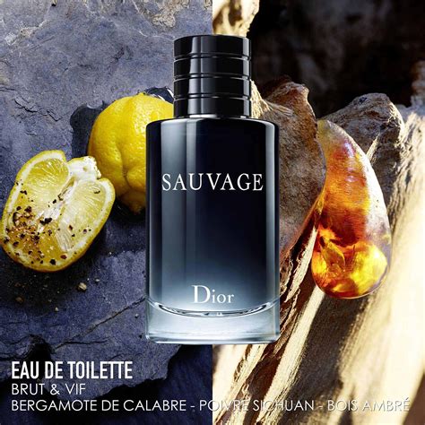 sauvage dior eau de toilette douglas|dior cologne perfume.